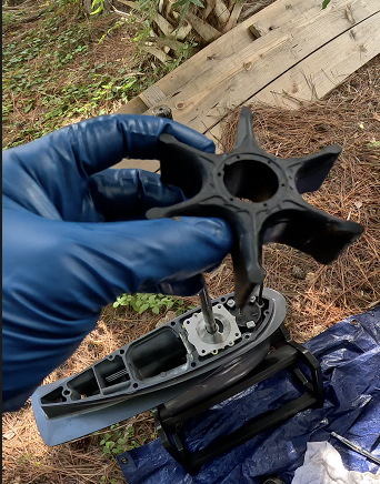 Outboard impeller removed during annual service